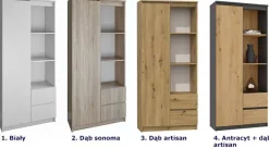 Biurowy regał na dokumenty antracyt + dąb artisan - Zyax