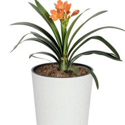 Donica Doniczka Ogrodowa 20 Cm Na Taras Do Ogrodu Domu Eco Wood Biała