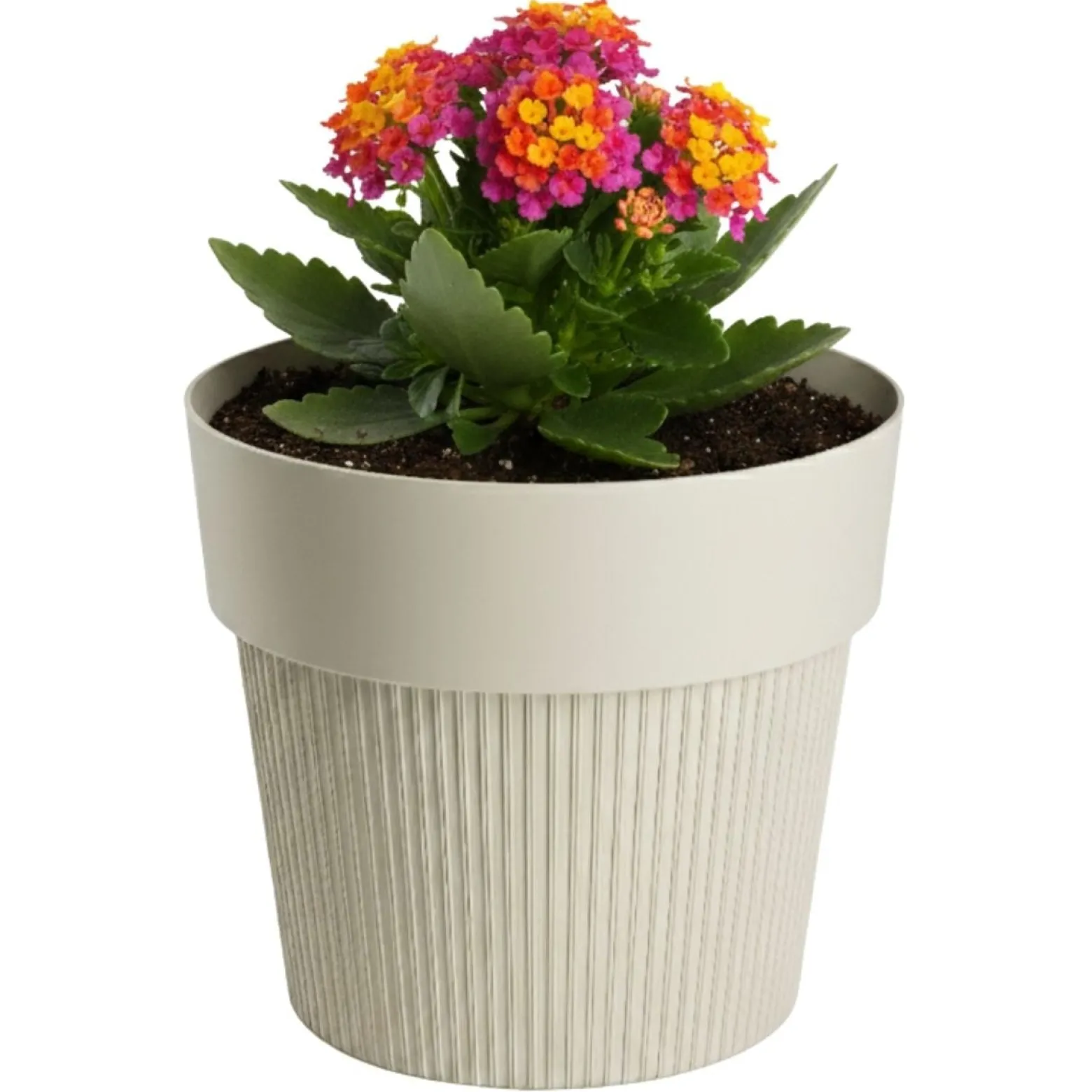 Donica plastikowa SILVA LINE beżowa okrągła do domu 13,2 cm