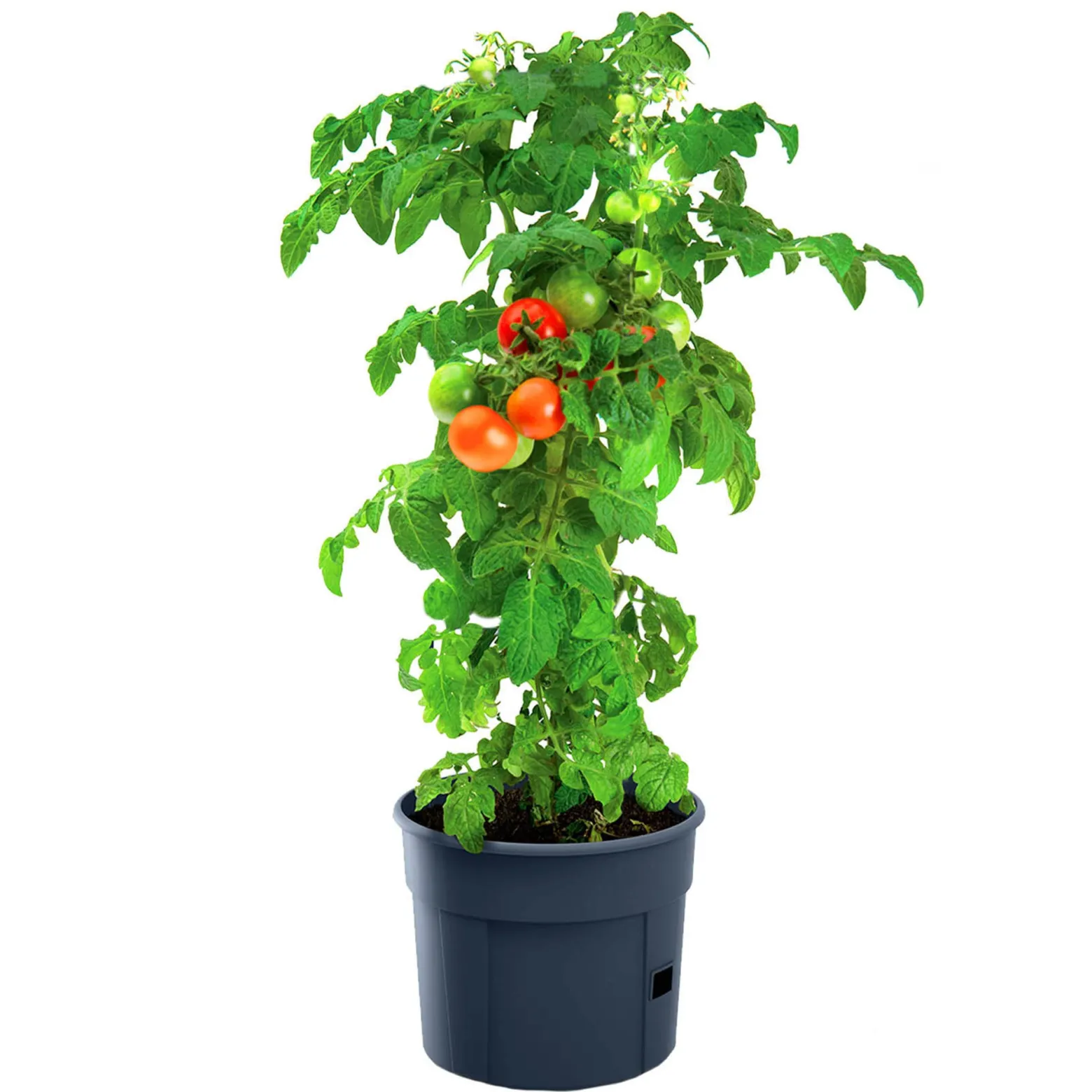 Doniczka Donica Do Sadzenia Ziemniaków Uprawy Warzyw 29,5 Cm