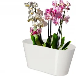 Doniczka Donica Na Kwiaty Osłonka Kolory 27cm