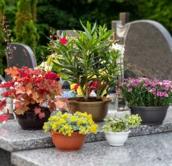 Doniczka Osłonka Donica Na Kwiaty 26cm Kolor Misa