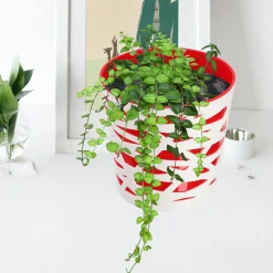 Doniczka Osłonka Wkład Donica Kolory Czerwona 19cm