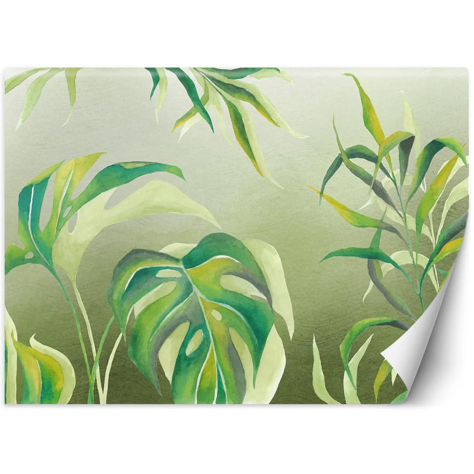Feeby Fototapeta, Liście Monstera 150x105