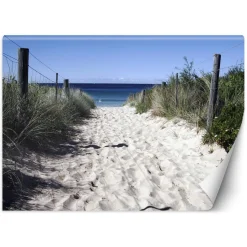 Feeby Fototapeta, Droga na plażę wydmy piasek 150x105