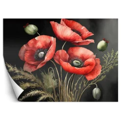 Feeby Fototapeta Malowane czerwone maki