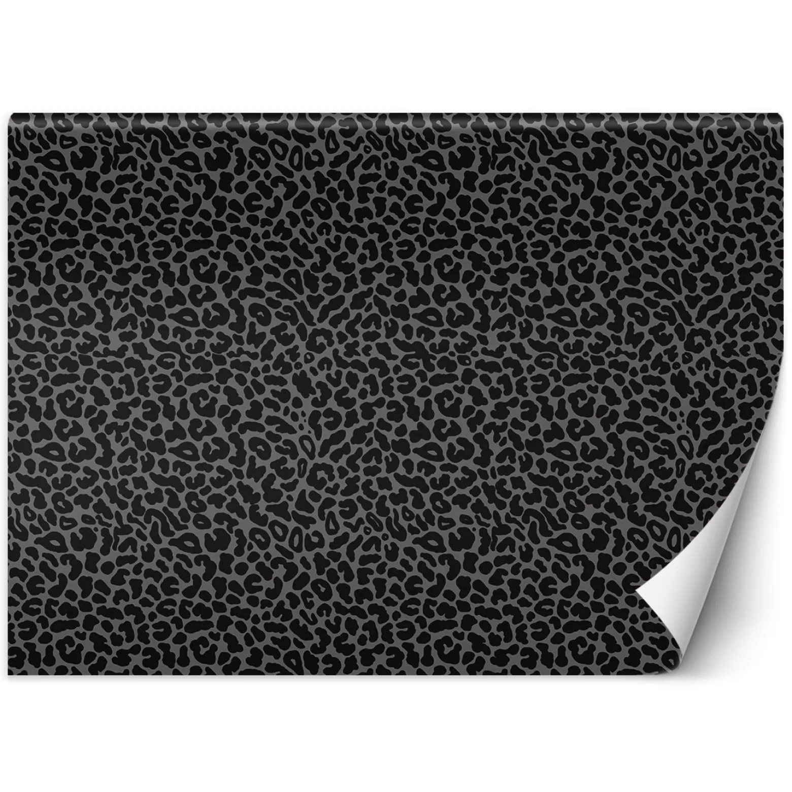 Feeby Fototapeta, Pantera leopard tekstura wzór 150x105