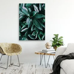 Feeby Obraz Liście tropikalnych roślin 40x60