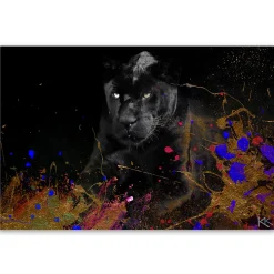 Feeby Obraz na płótnie, Czarna pantera na kolorowym tle 60x40