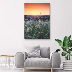 Feeby Obraz na płótnie Łąka i zachód słońca 40x60