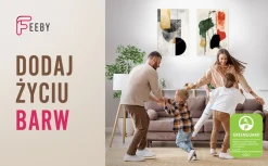 Feeby Obraz nowoczesny, Abstrakcja Geometryczna Minimalizm 40x60