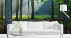 Fototapeta LAS Promienie Słońca Przyroda 90x60cm
