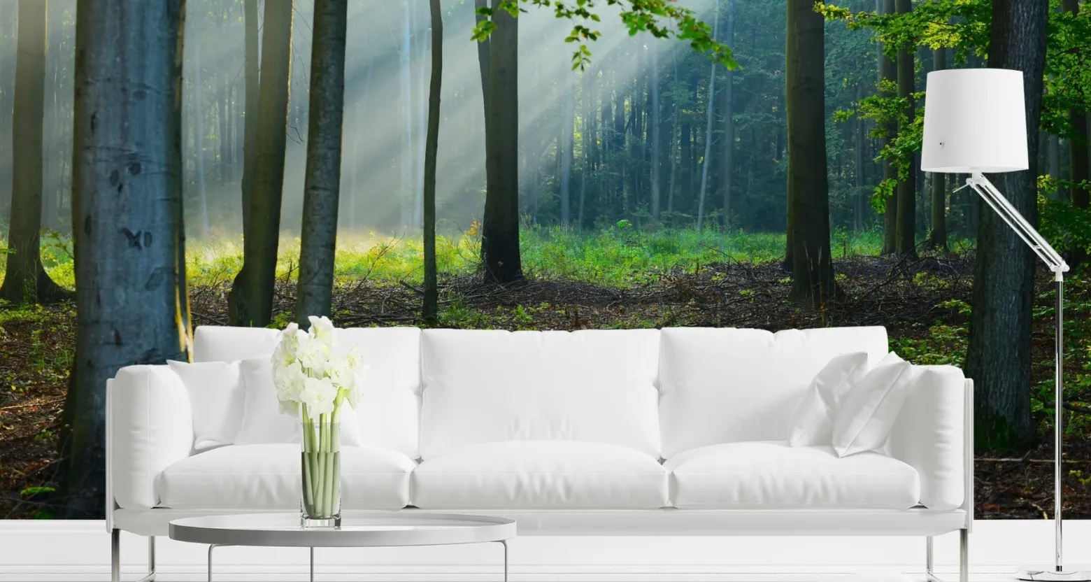 Fototapeta LAS Promienie Słońca Przyroda 90x60cm