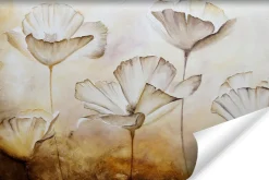 Fototapeta Ścienna Malowane białe maki vintage 90x60cm