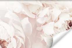 Fototapeta Do Sypialni Pastelowe Piwonie 90x60cm