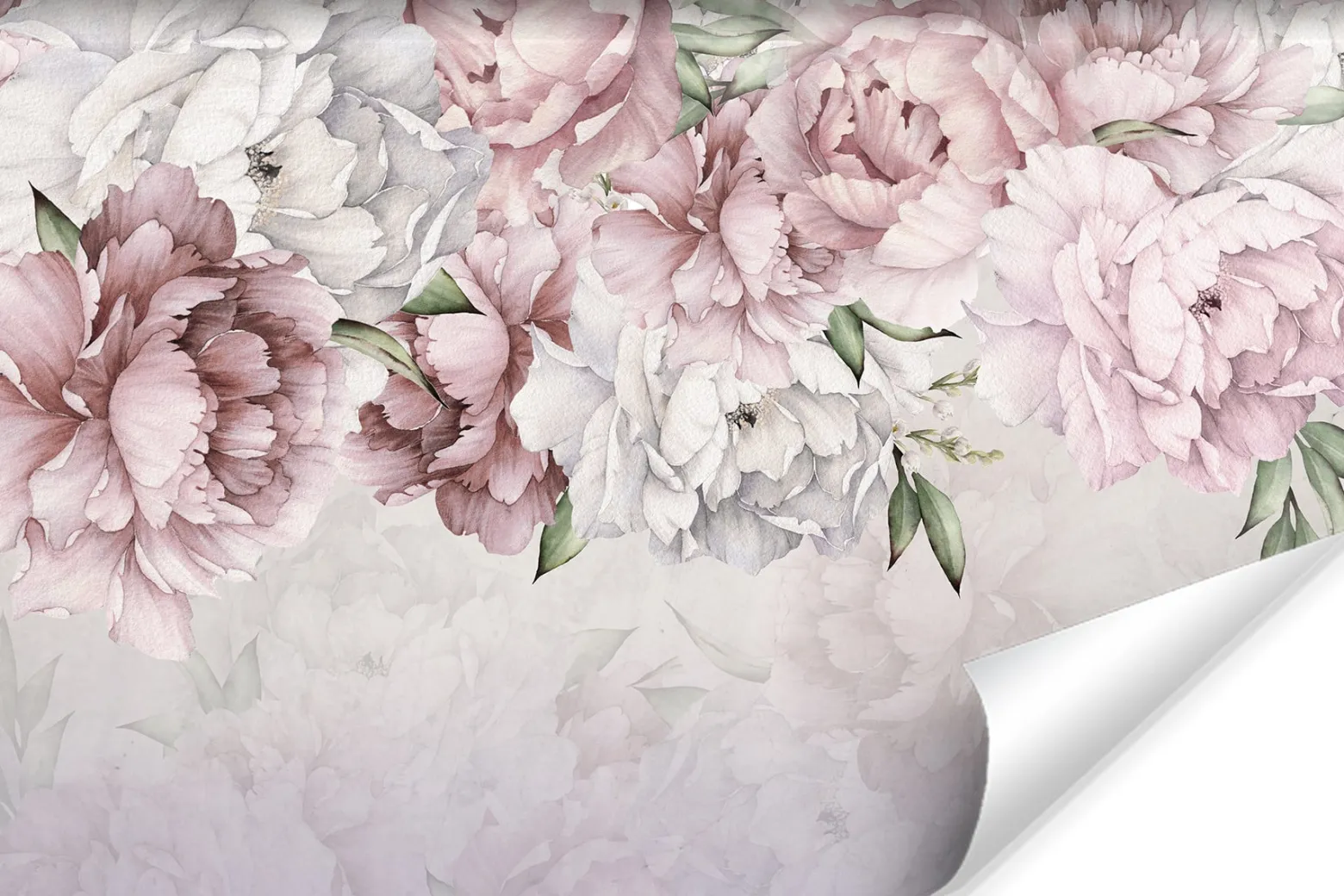Fototapeta Do Sypialni Pastelowe Peonie 90x60cm