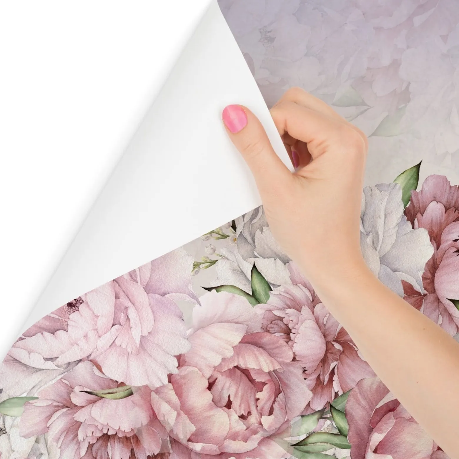 Fototapeta Klasyczne Piwonie Peonie 90x60cm