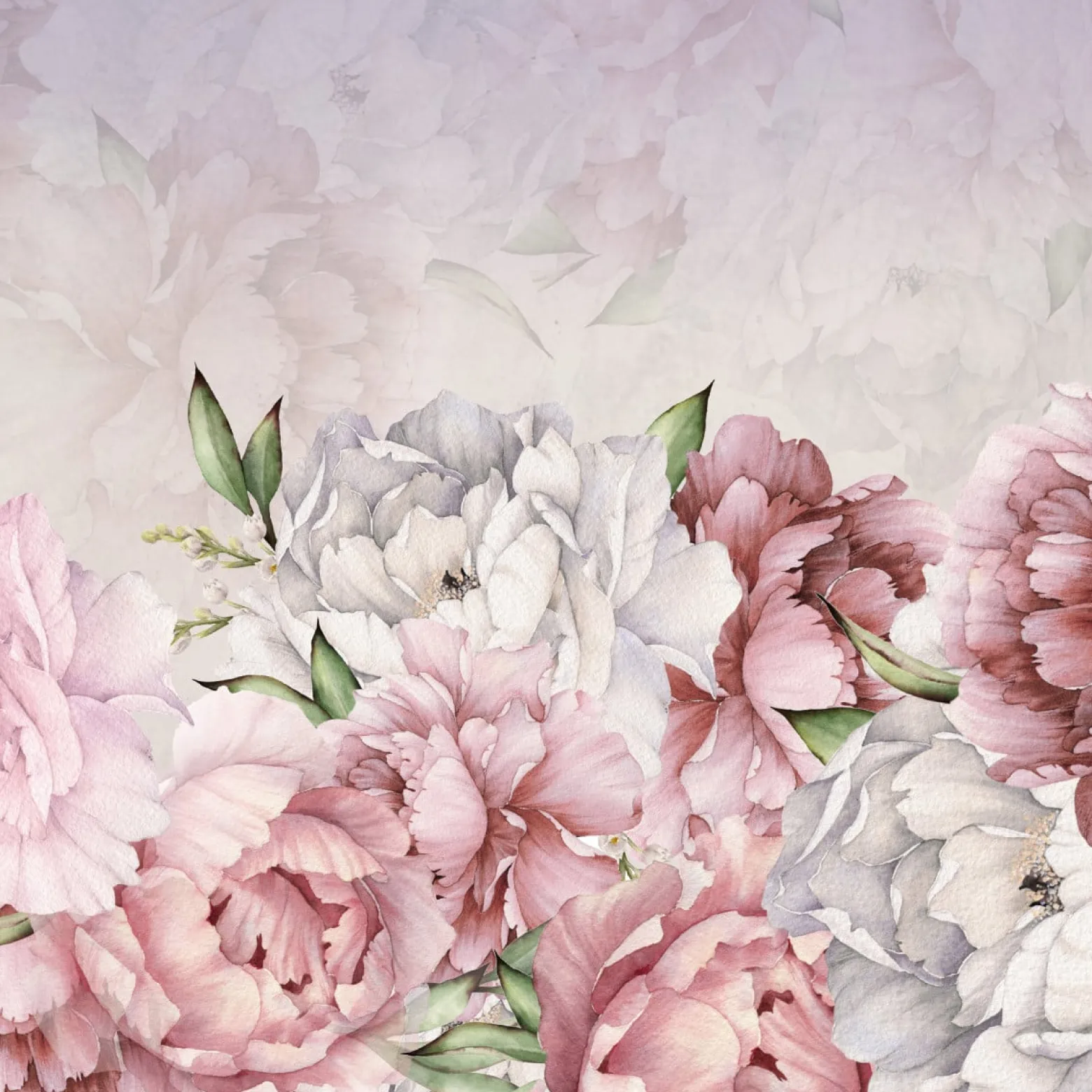 Fototapeta Klasyczne Piwonie Peonie 90x60cm