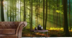 Fototapeta Krajobraz Drzewa NATURA Liście 90x60cm