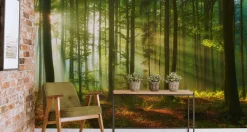 Fototapeta Krajobraz Drzewa NATURA Liście 90x60cm