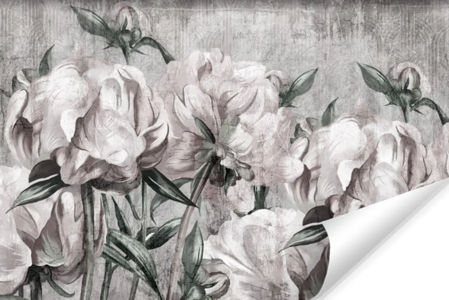 Fototapeta Peonie W Stylu Vintage 90x60cm