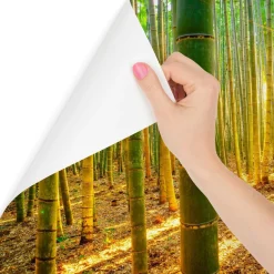 Fototapeta Wschód SŁOŃCA Las Bambusowy 90x60cm