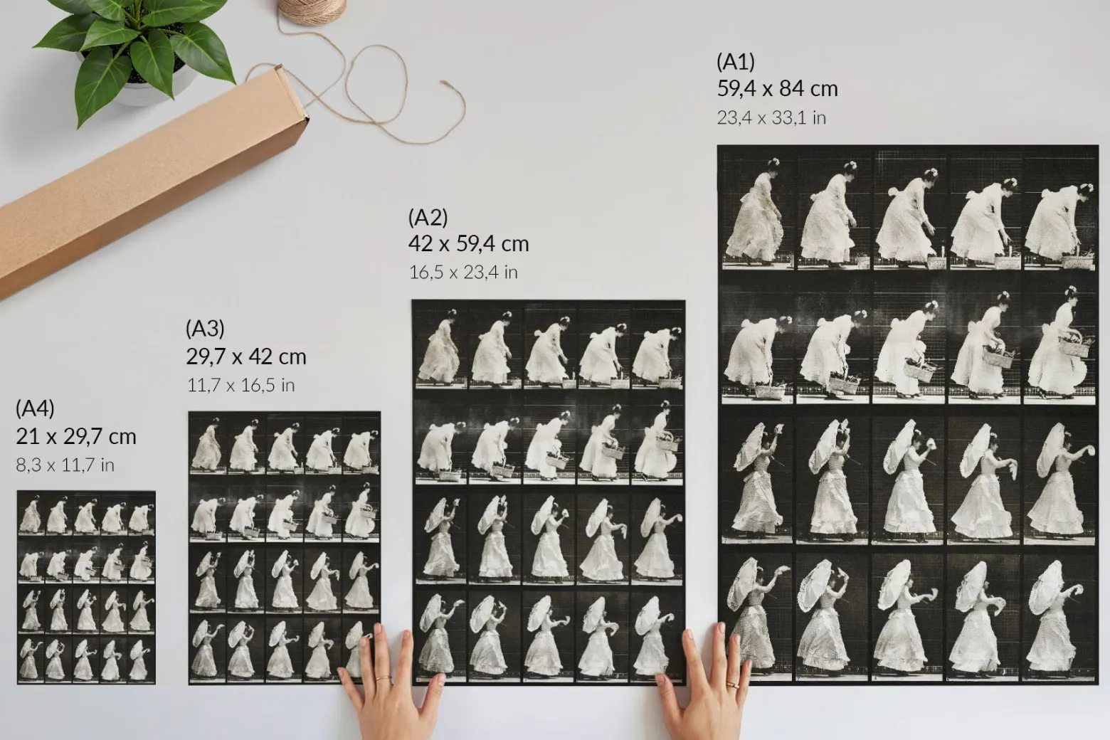 Nowoczesne plakaty A4 Kobieta machająca chusteczką (1887) E. Muybridge’a