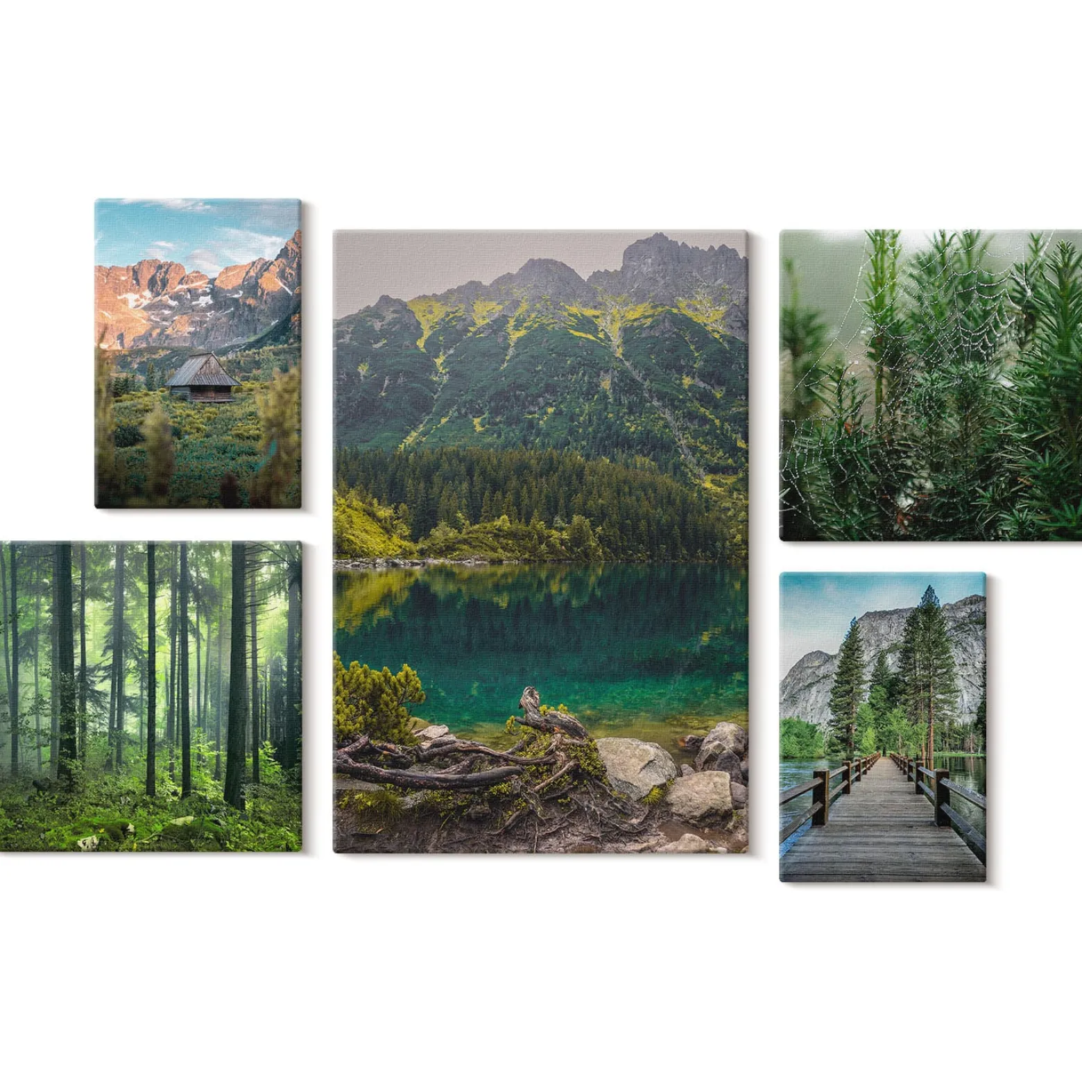 Obraz canvas 5 części Góry i lasy|20x30, 30x30, 40x60|Wallfluent