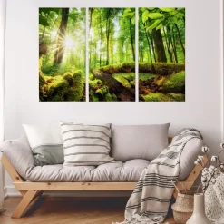 Obraz 3-Częściowy Widok Na Słoneczny Las 3D 60x40cm
