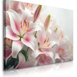 Obraz Delikatne Lilie 30x20cm