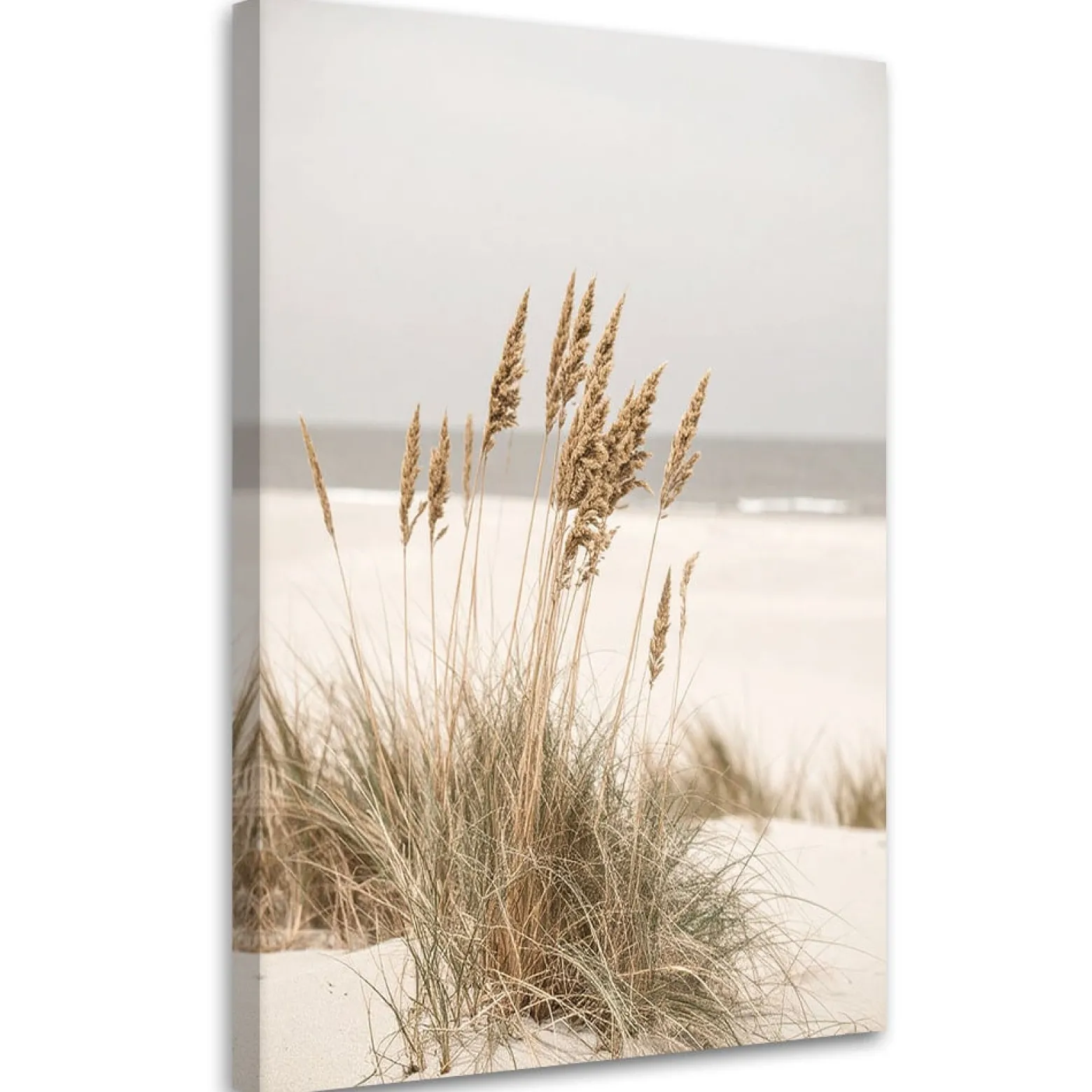 Obraz do salonu kuchni biura, Plaża morze rośliny natura beżowy 20x30