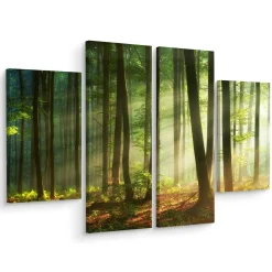 Obraz Tetraptyk Promienie słońca w lesie 80x60cm