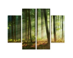 Obraz Tetraptyk Promienie słońca w lesie 80x60cm