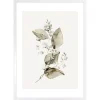 Obraz w ramie Delicate Watercolor Leaf No.1 53x73 cm