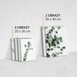 Obrazy Liście Eukaliptusa Cytaty Napisy Natura