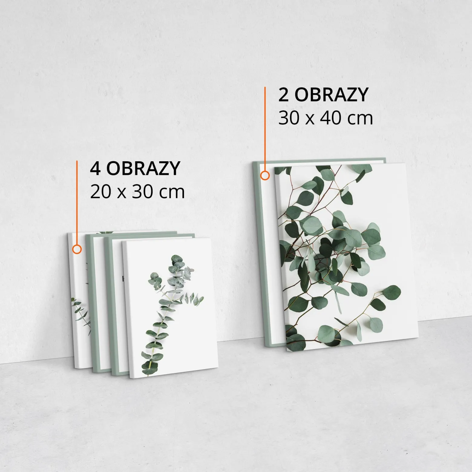 Obrazy Liście Eukaliptusa Cytaty Napisy Natura