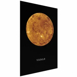 Plakat Wenus 21x30 cm