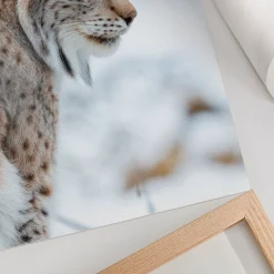 Plakaty canvas A4 Rys zimą przyroda naturalne barwy harmonia