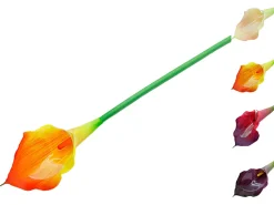 Pojedyncza Calla 65 cm mix kolorów