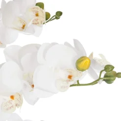 Storczyk sztuczny ORCHIDEE, 65 cm