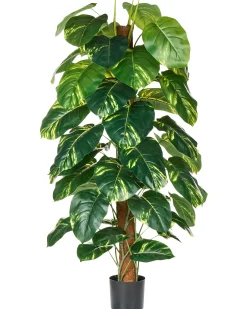 Sztuczna roślina DIEFFENBACHIA 152 cm Zielony