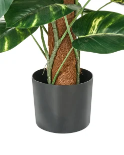 Sztuczna roślina DIEFFENBACHIA 152 cm Zielony