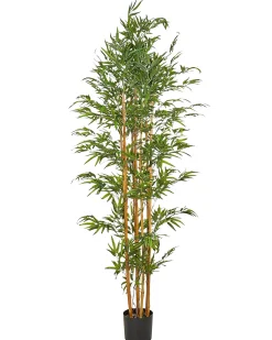 Sztuczna roślina w doniczce 220 cm bambus