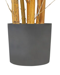 Sztuczna roślina w doniczce 220 cm bambus