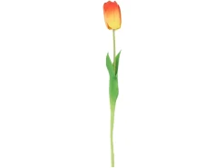 Tulipan pojedynczy 47 cm pomarańczowy