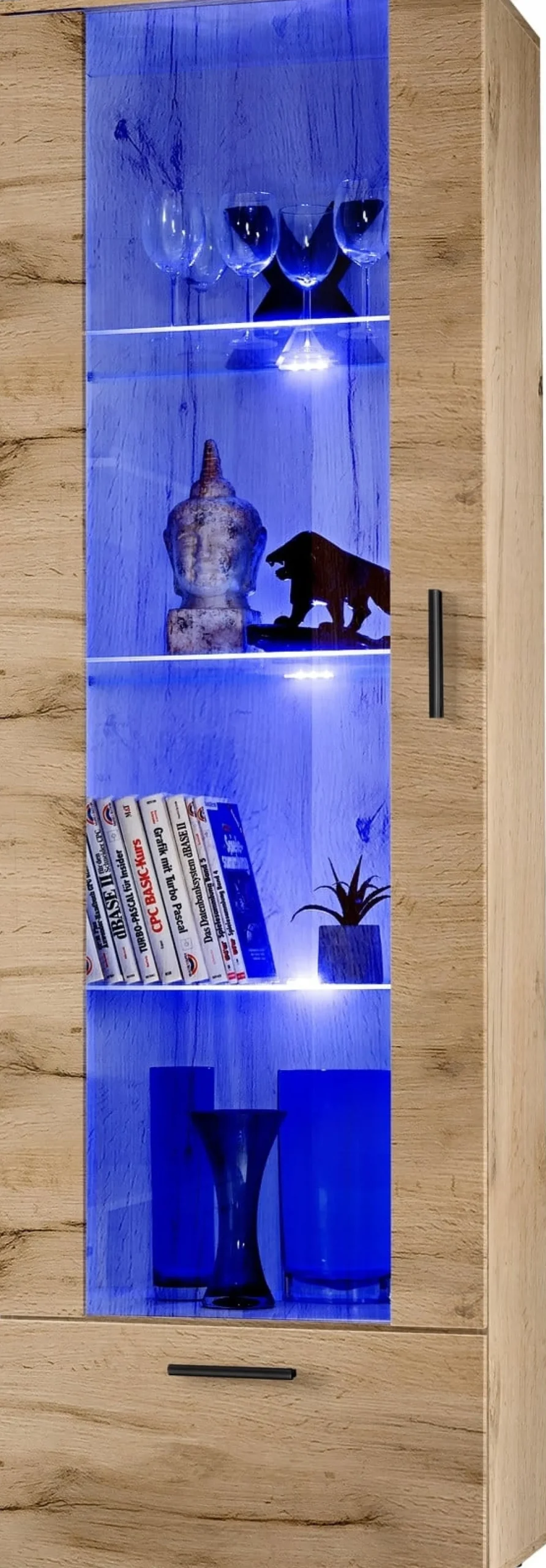 Witryna Szklana Regał Salon Dąb Wotan z Półkami LED 192x60