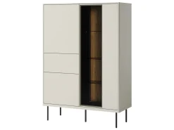Witryna do salonu 2D1S1W Epiro EP-02