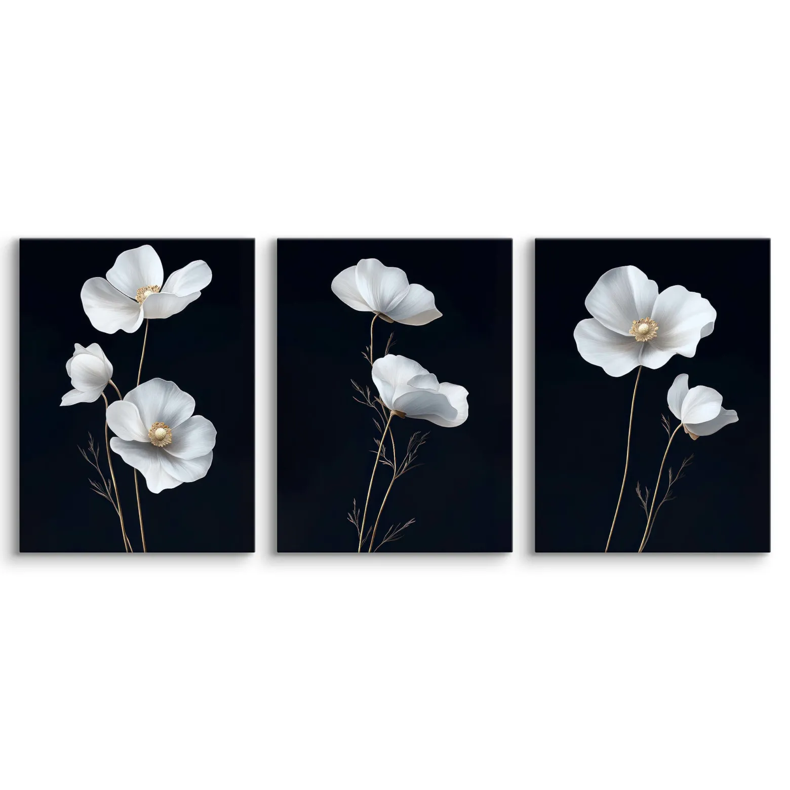 3x Obraz Set Białe Maki Polne Kwiaty Minimalizm 30x40cm