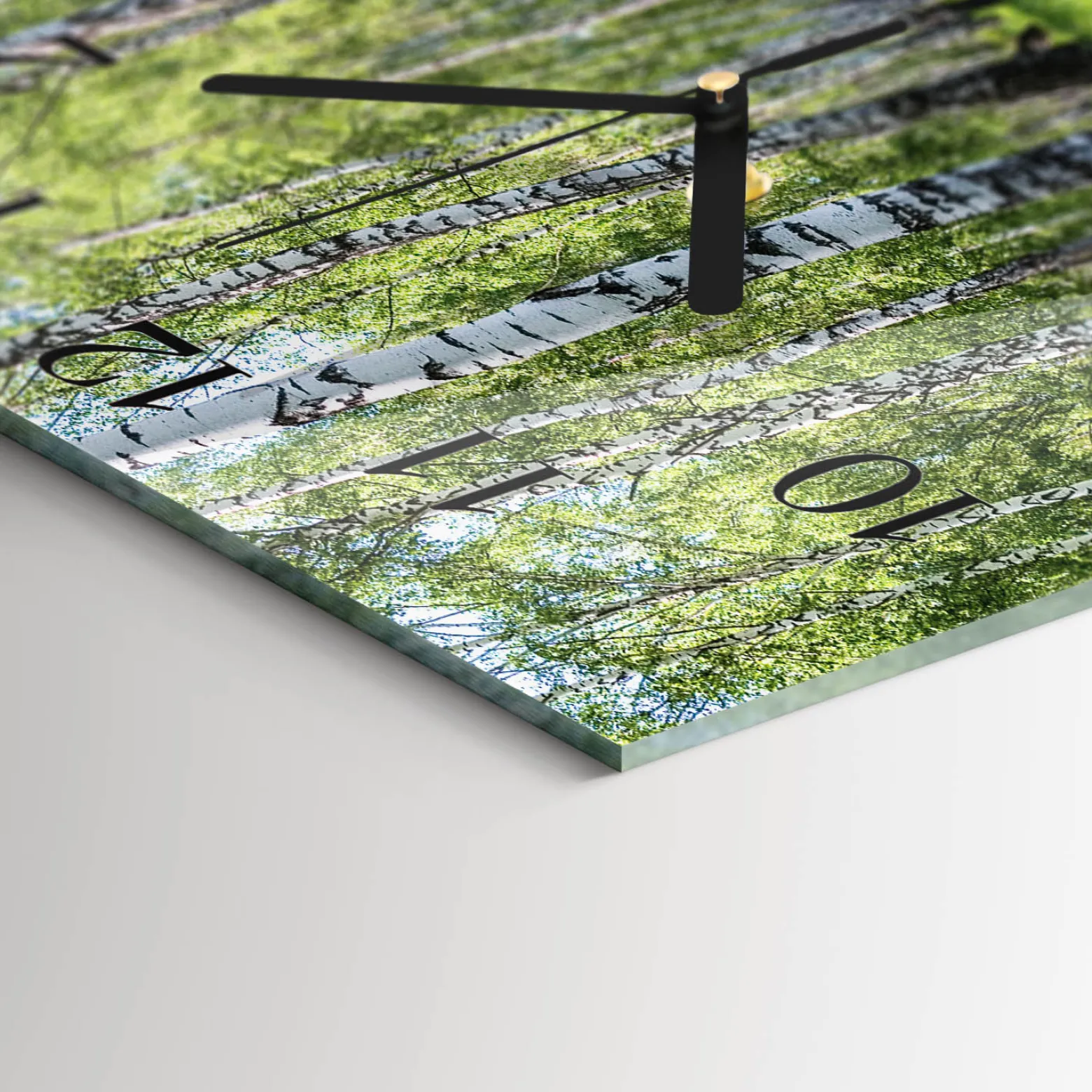 Zegar biały 30x30 Las Brzozowy brzozy drzewa natura las jesień